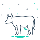 animal icon