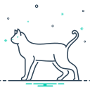 animal icon