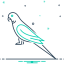 pájaro icon