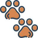 animal icon