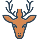 animal icon