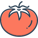 tomate icon