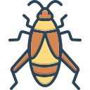 insecto icon