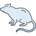 ratón 