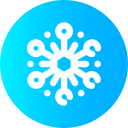 Copo de nieve icon