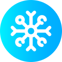 Copo de nieve icon