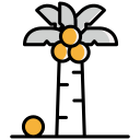 palmera icon