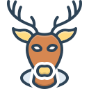 animal icon