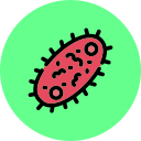 bacterias icon