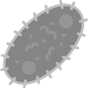 bacterias icon