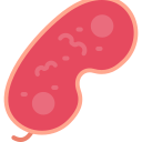 bacterias icon