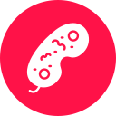 bacterias icon