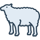 cordero baa icon