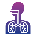 sistema respiratorio 