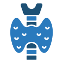 endocrino icon