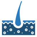 sistema tegumentario icon