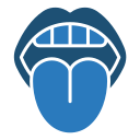 lengua icon