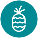 piña icon