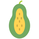 papaya icon