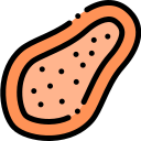 papaya icon