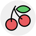 frutas icon