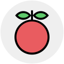 fruta icon