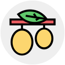 fruta icon