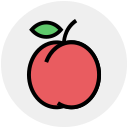 fruta icon