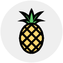 fruta icon