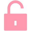 seguridad icon