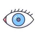 ojo icon