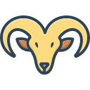 animal icon