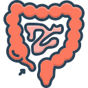 intestino icon