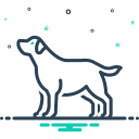 animal icon