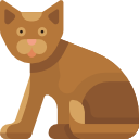 gato icon