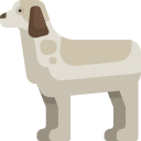 perro icon