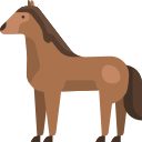 caballo icon