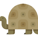 tortuga icon