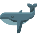 ballena icon