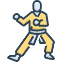 taekwondo icon