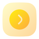 flecha correcta icon