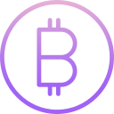 bitcoin icon