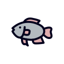 tilapia icon