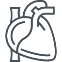saúde icon