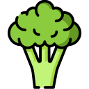 Brócoli icon