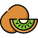 Kiwi icon