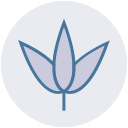 naturaleza icon