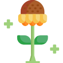 Flor