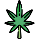 Cannabis