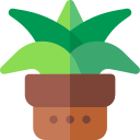 Aloe vera icon